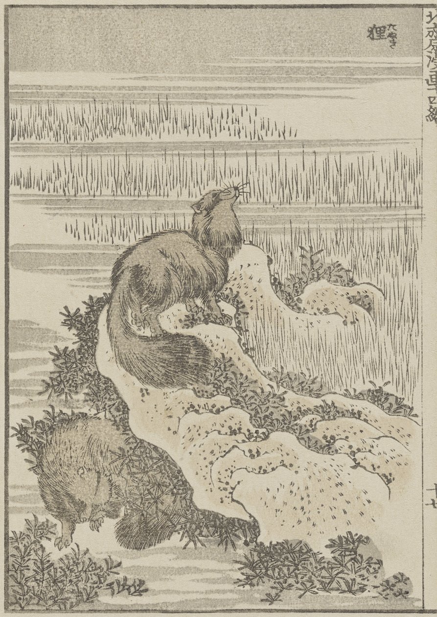 Jezevec, c. 1840 (dřevotisk) od Katsushika Hokusai