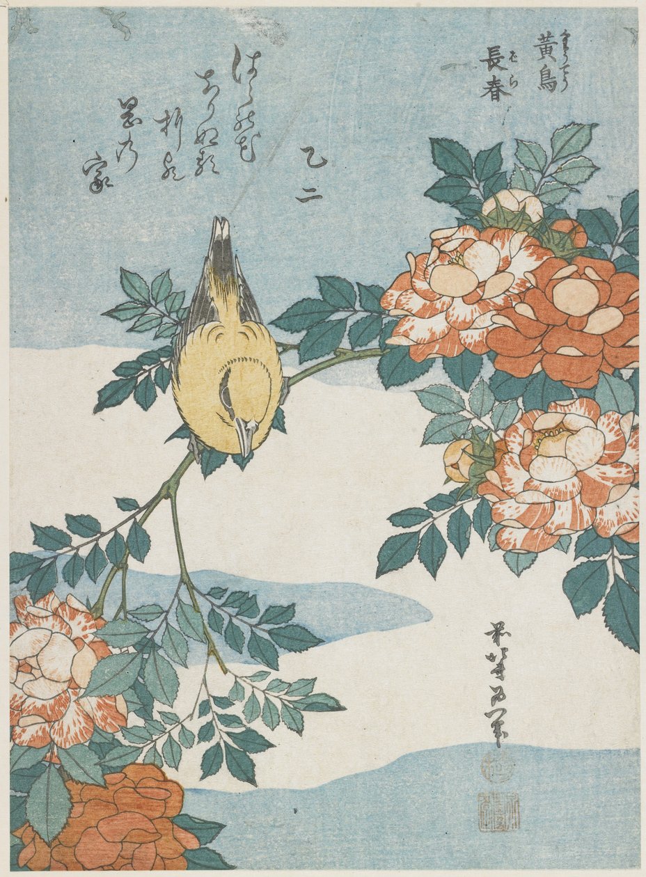 Oriole černohlavá a čínská růže, c. 1833 od Katsushika Hokusai
