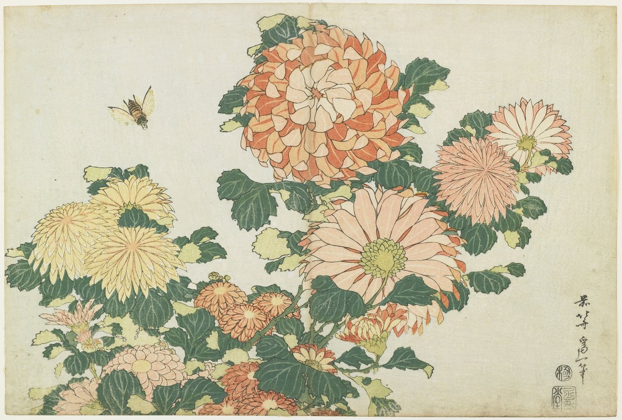 Chryzantémy a koňská muška, c. 1832 od Katsushika Hokusai