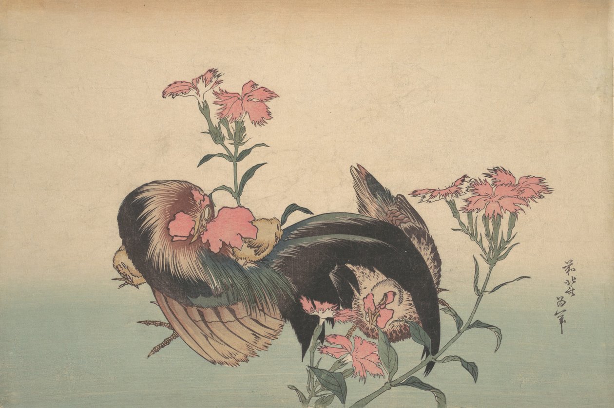 Kohout, slepice a Nadeshiko Dianthus Superbus. od Katsushika Hokusai
