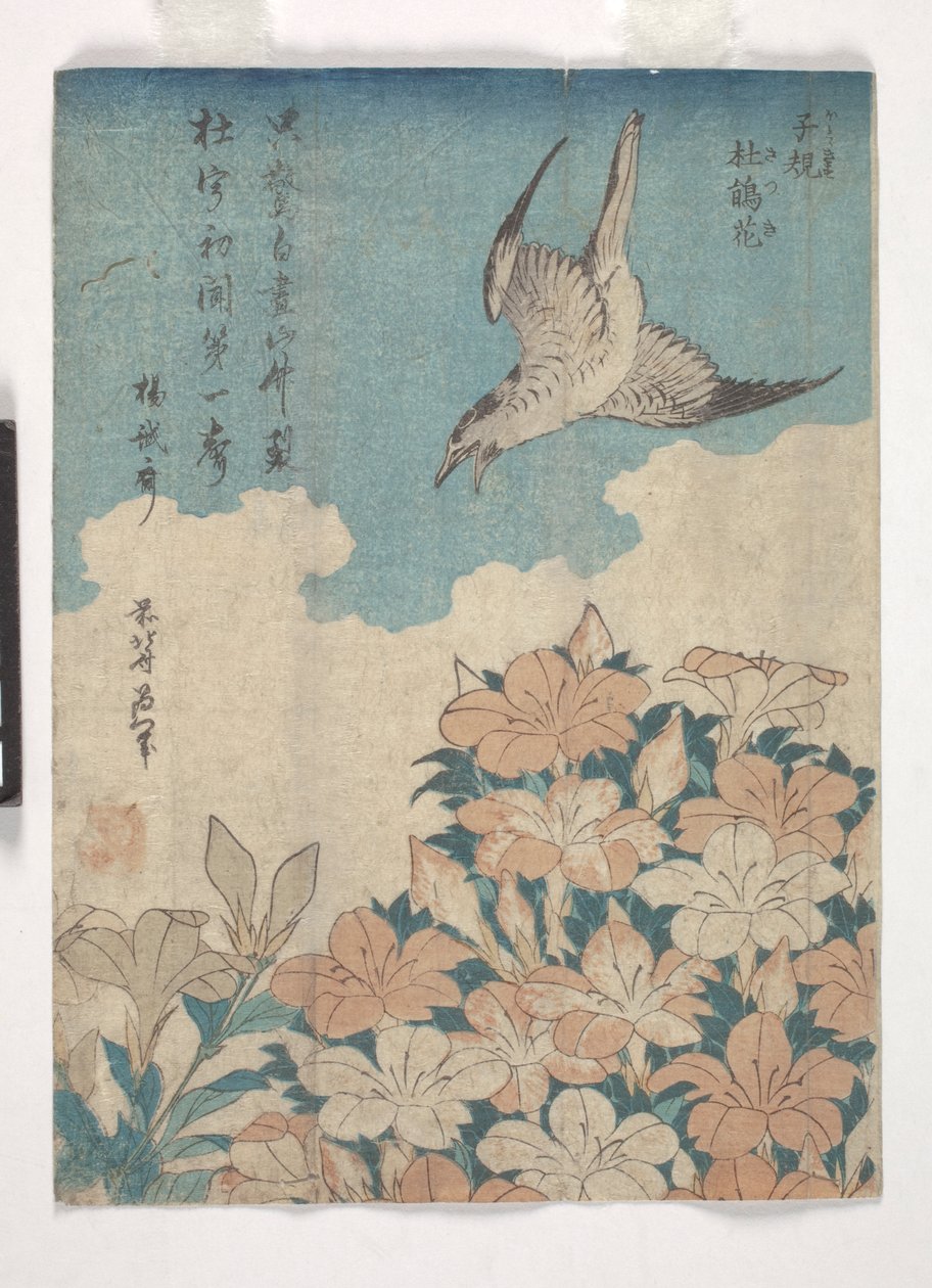 Kukačka a azalka (barevný dřevoryt) od Katsushika Hokusai