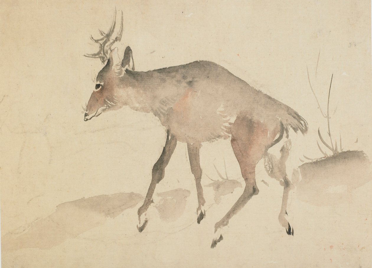 Jelen, konec 18.-začátek 19. století. od Katsushika Hokusai