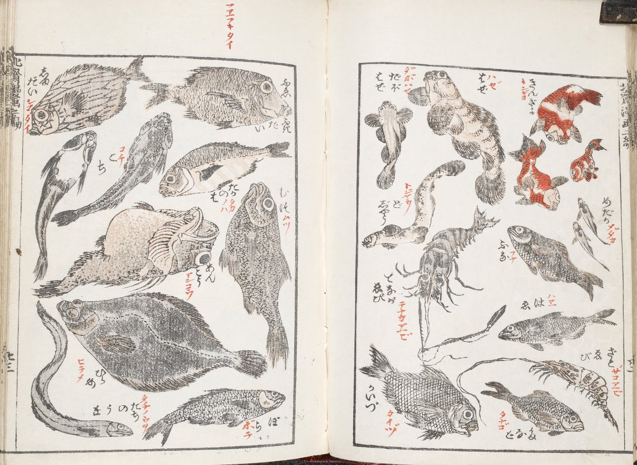 Kalat ja merieläimet od Katsushika Hokusai