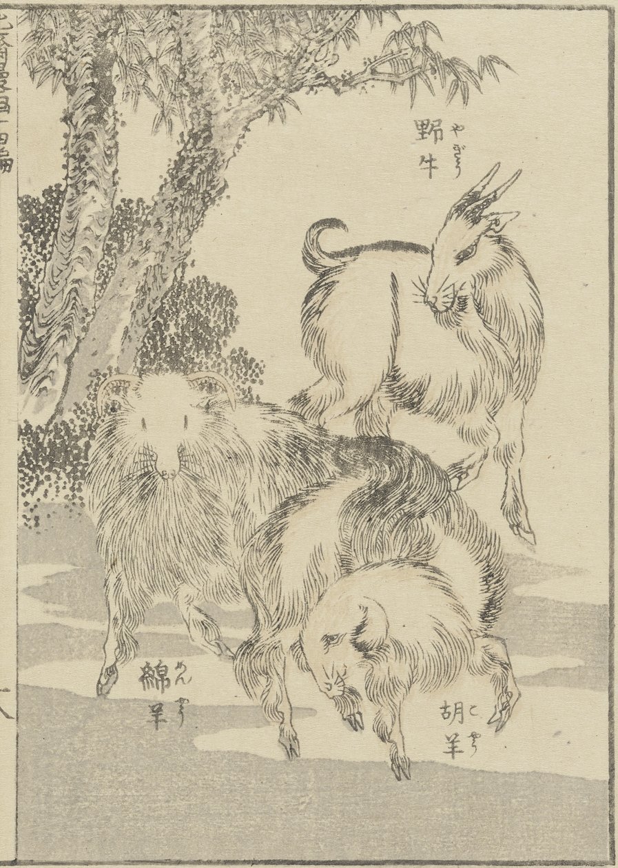 Kozy, c. 1840 (dřevotisk) od Katsushika Hokusai
