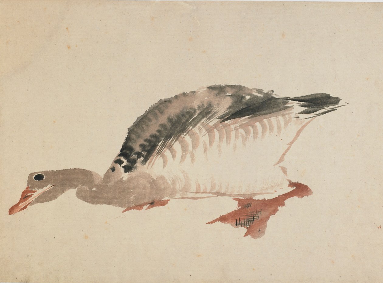 Husa, konec 18.-začátek 19. století. od Katsushika Hokusai