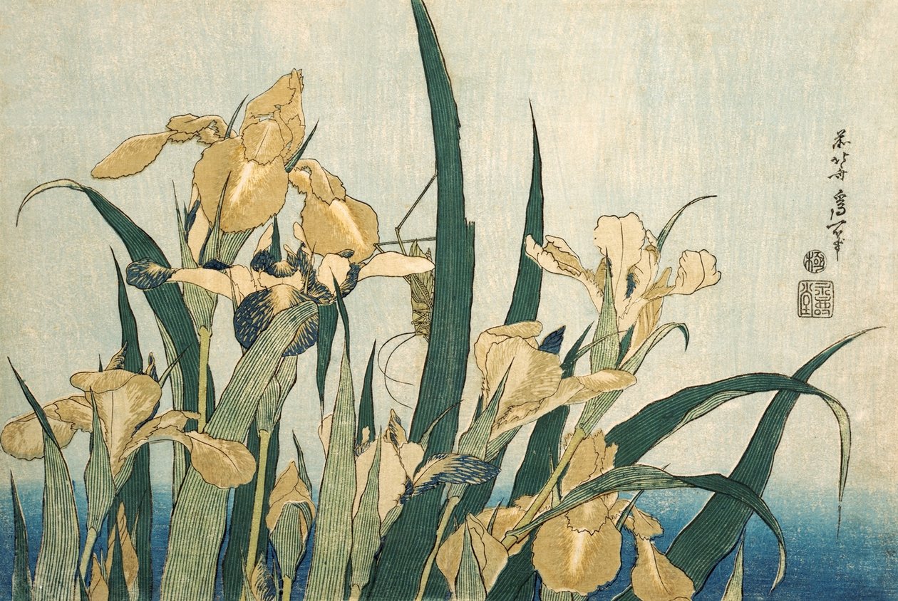 Kosatce s kobylkou, hospod.1830 od Katsushika Hokusai