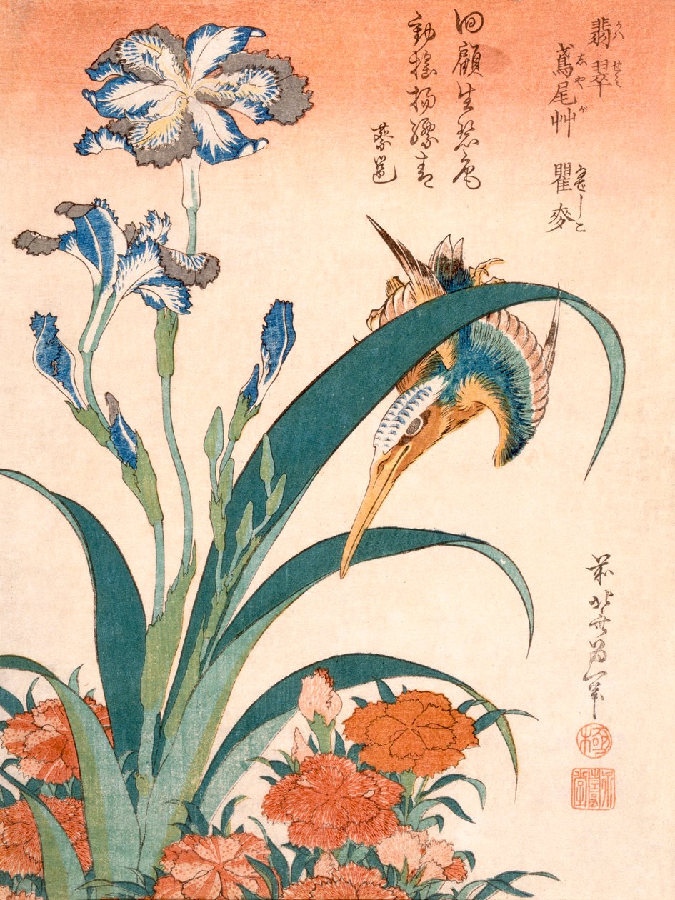 Kingfisher, Irises and Pinks, publikoval c1834. od Katsushika Hokusai