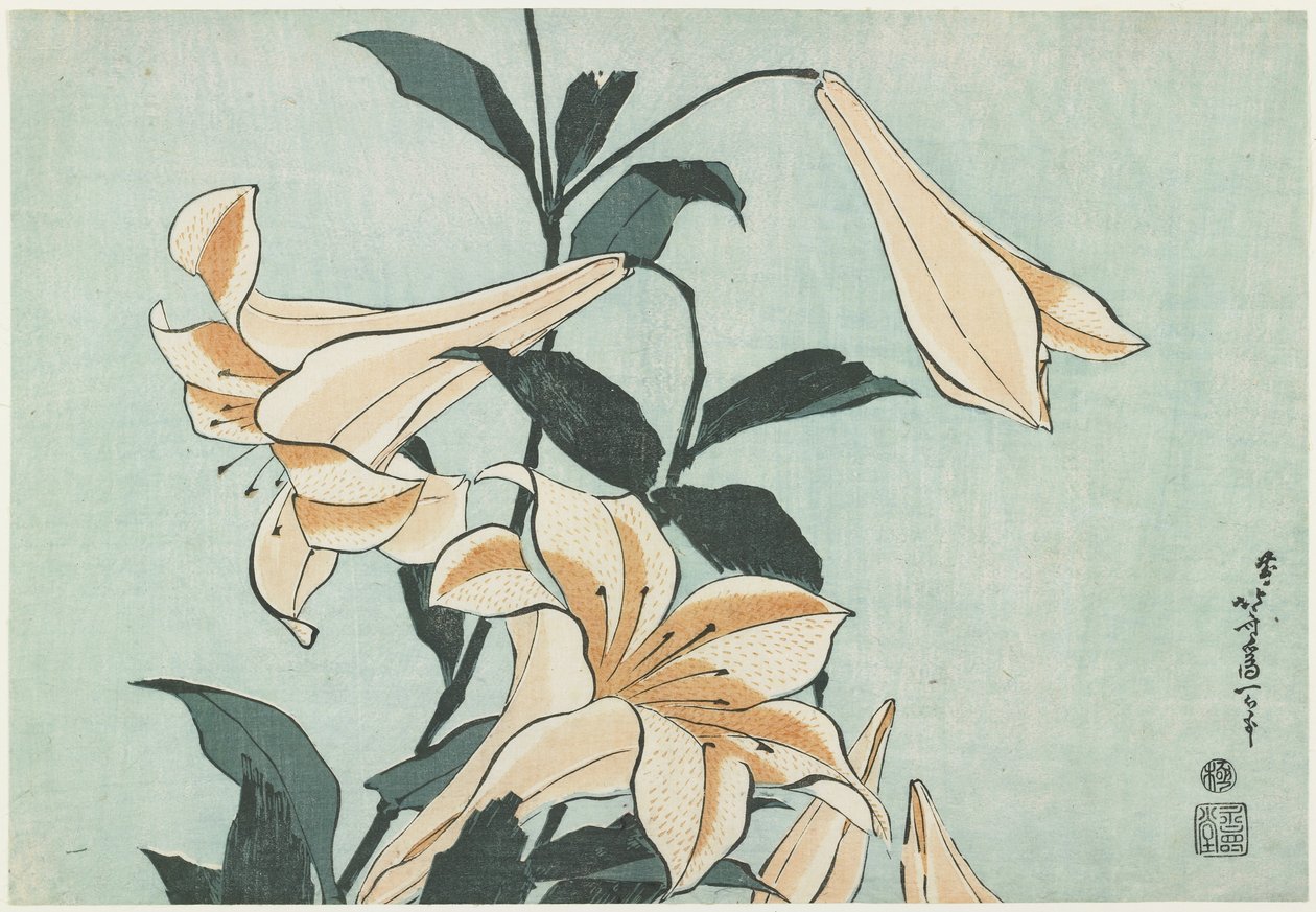 Lilie, c. 1832 od Katsushika Hokusai