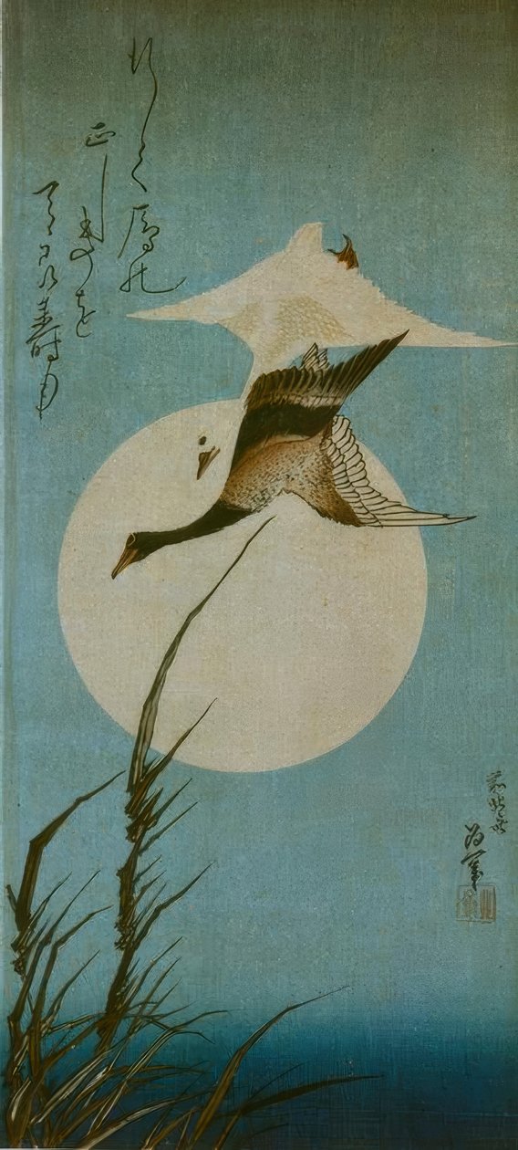 Dvě divoké husy od Katsushika Hokusai