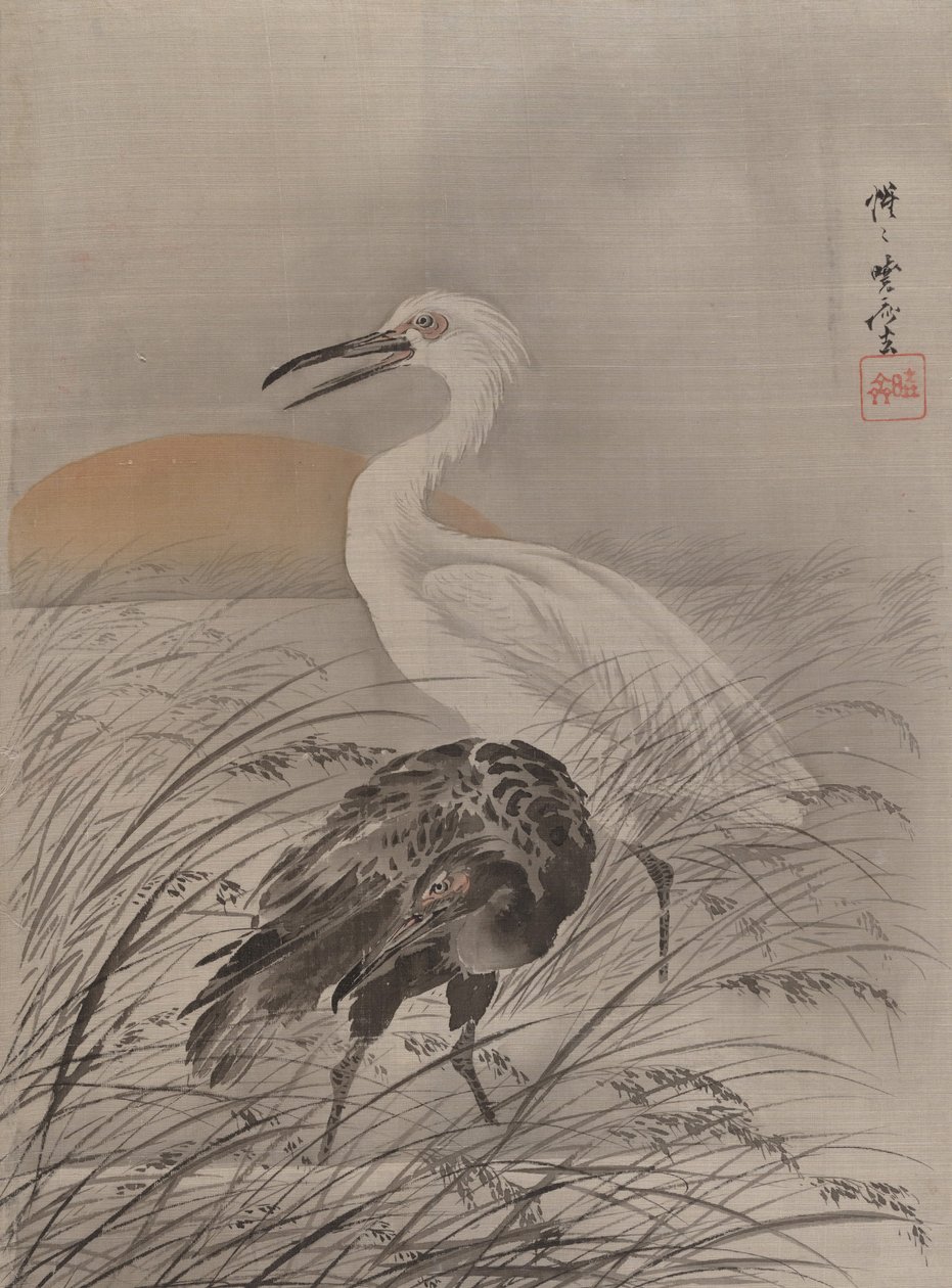 Jeřáby v Marsh, ca. 1887. od Kawanabe Kyosai
