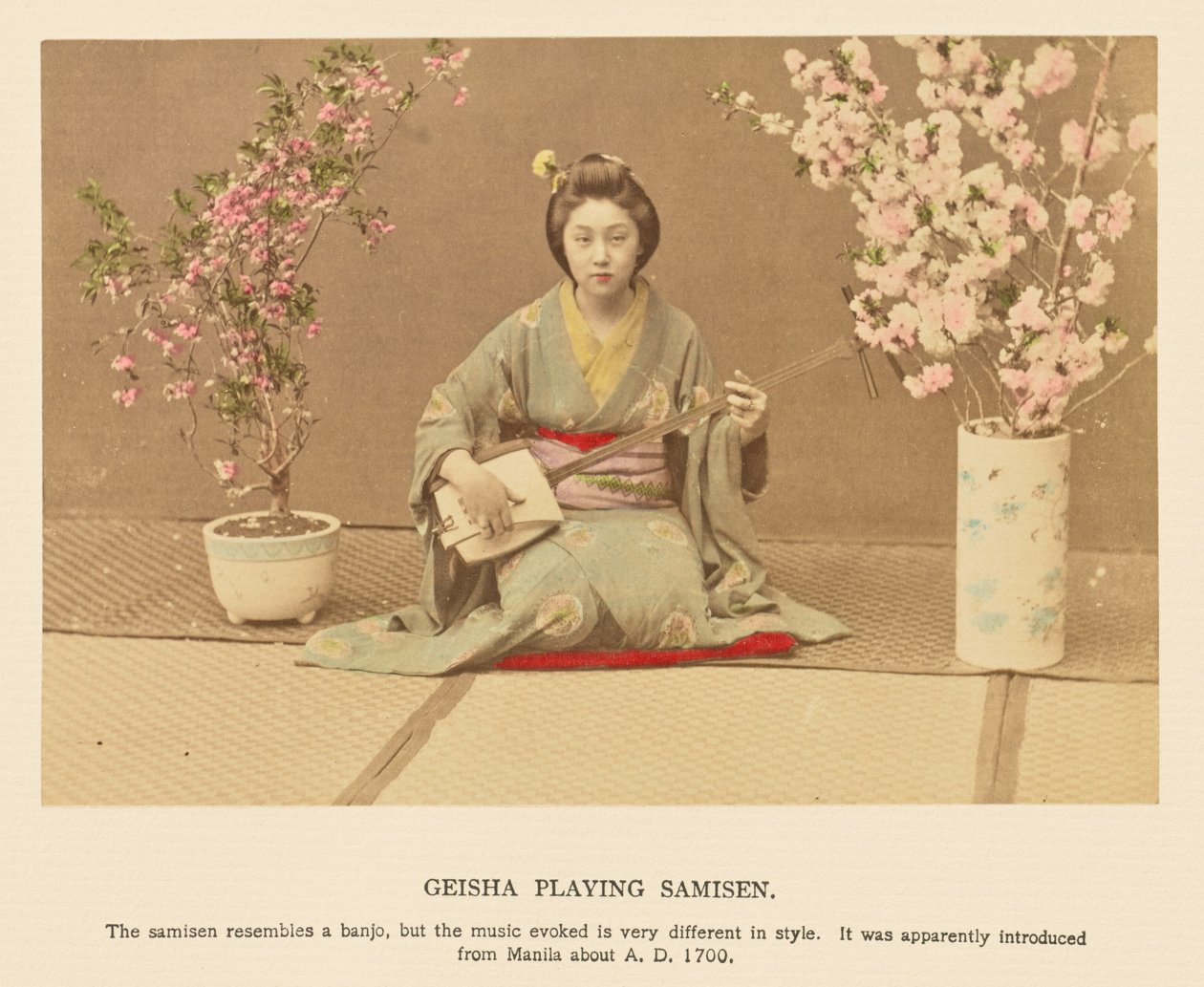 Gejša hrající na samisen od Kazumasa Ogawa