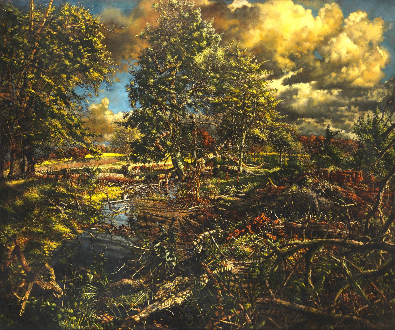 Nailbourne Spring Stream, Bourne Park od Kenneth Newton