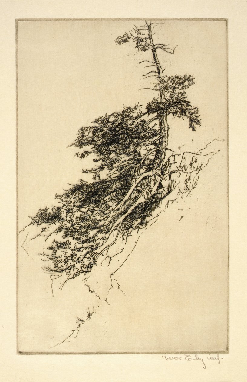 Little Rock Pine od Kerr Eby