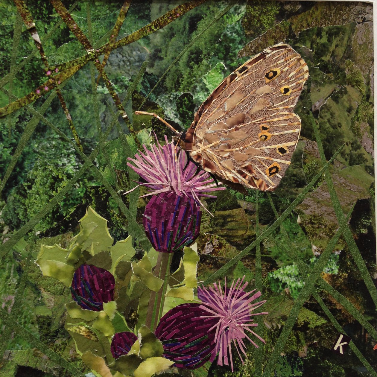 Flit - Satyr Butterfly On Thistle od Kirstie Adamson