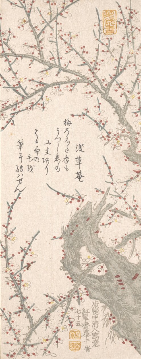Plum Tree in Blossom, 1813. od Kitao Shigemasa