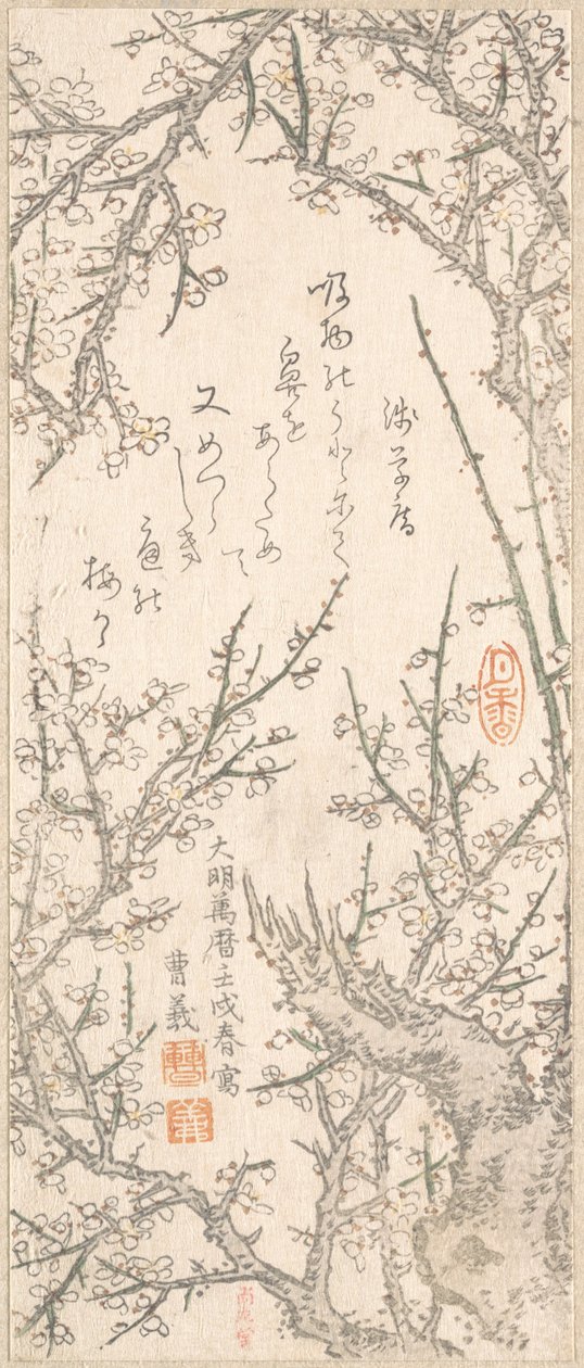 Plum Tree in Blossom, 1813. od Kitao Shigemasa