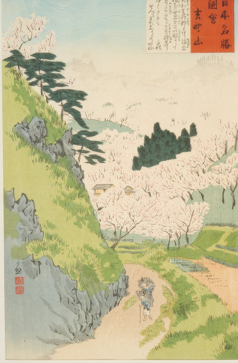 Mount Yoshino, třešňové květy od Kiyochika Kobayashi