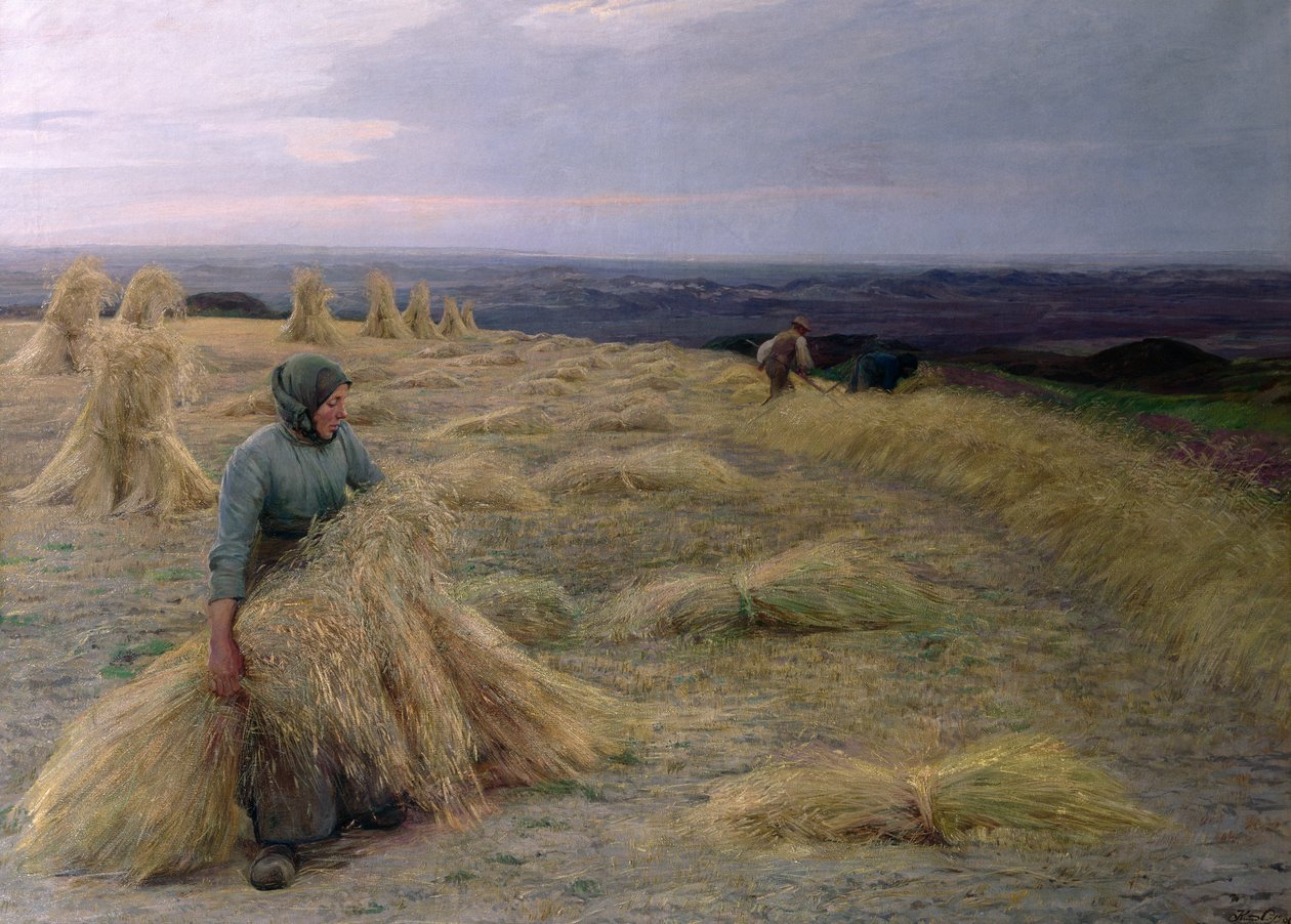 The Harvesters, Svinklov-Viildemosen, Jutsko od Knud Larsen