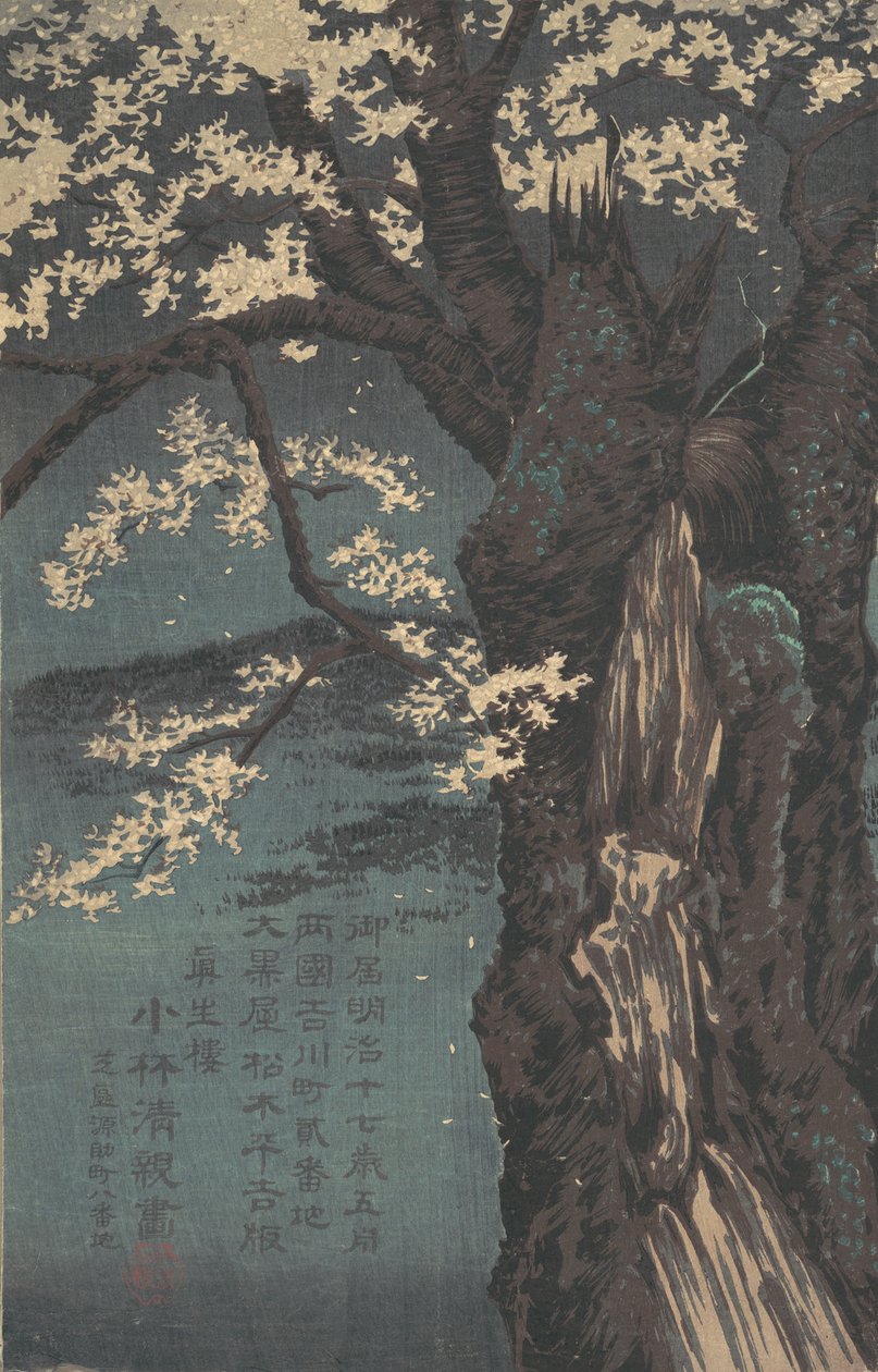 Cherry Tree z roku 1874. od Kobayashi Kiyochika