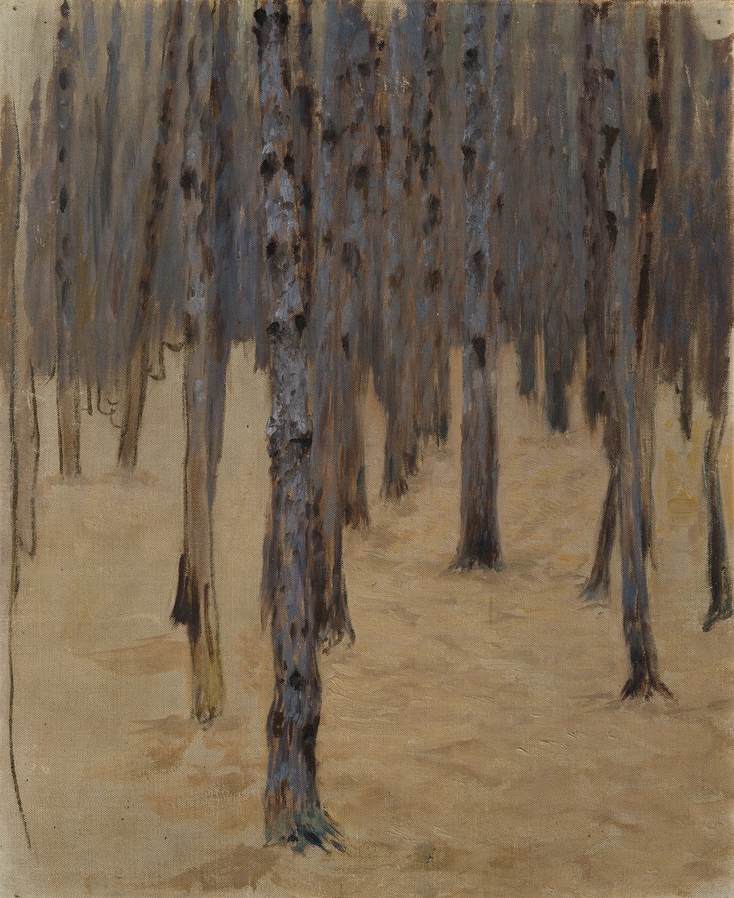 jehličnatý les ve sněhu od Koloman Moser