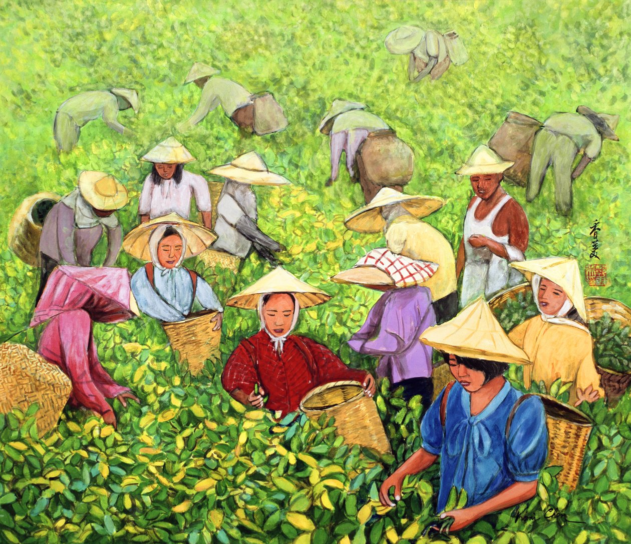 Tea Picking Girl, 1994 (kvaš na hedvábí) od Komi Chen