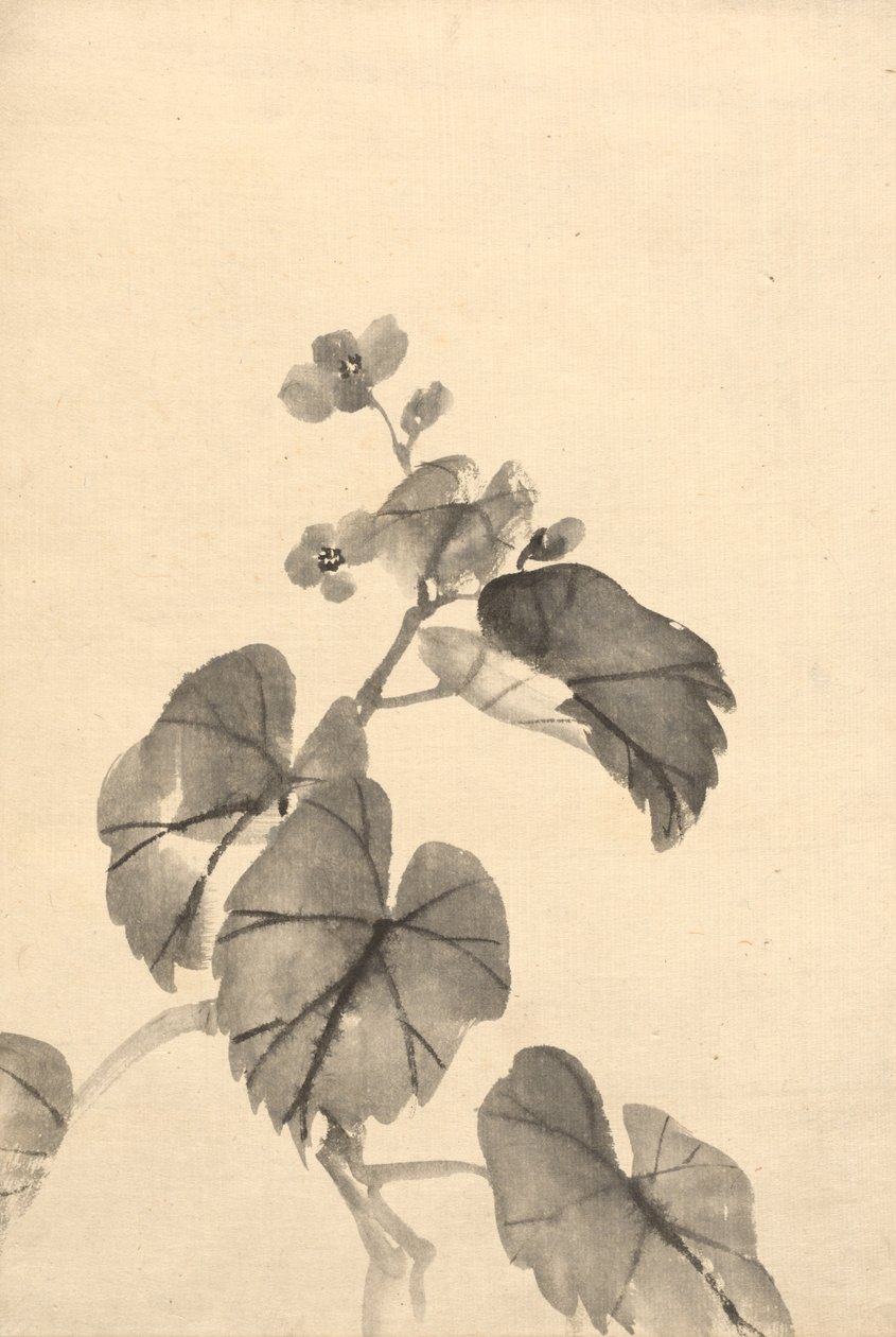 Pobočka Begonia v květu. od Kono Bairei