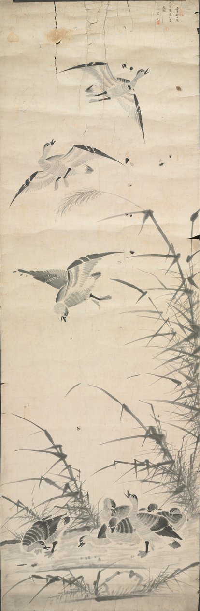 Divoké husy a rákosí od Korea, Joseon dynasty