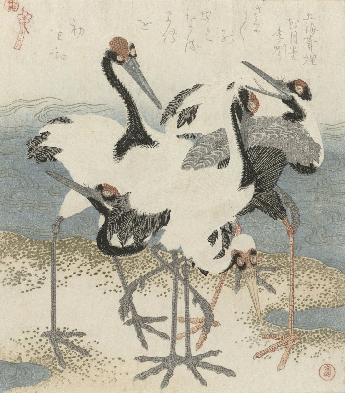 Jeřáby u vody, cca 1816 (barevný dřevoryt) od Kubo Shunman
