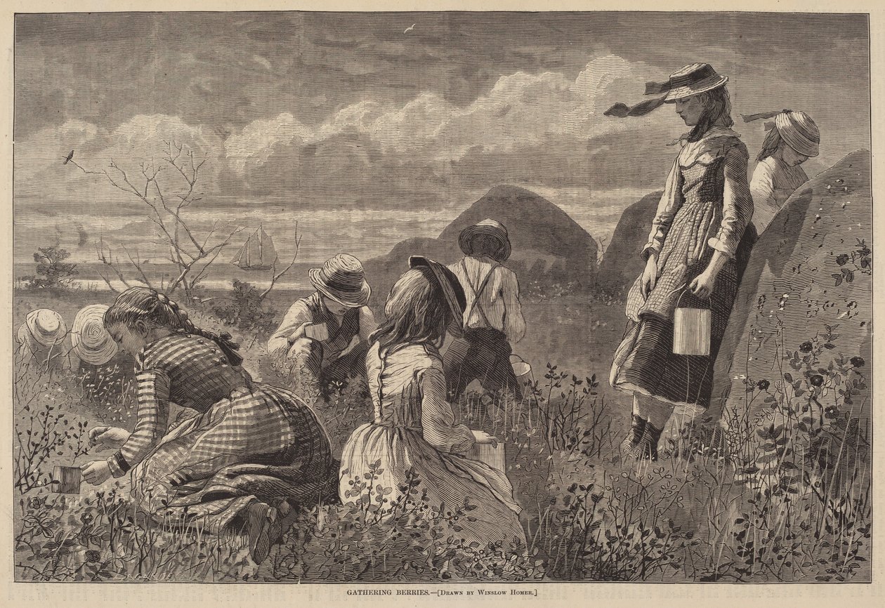 Sběr bobulí od Lagarde after Winslow Homer