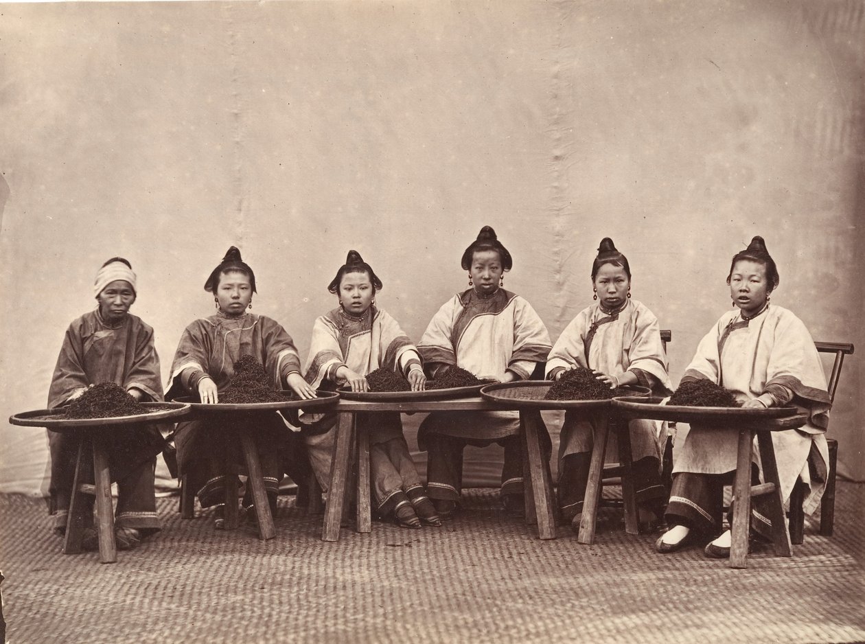 Culling Tea, ca. 1869. od Lai Fong.