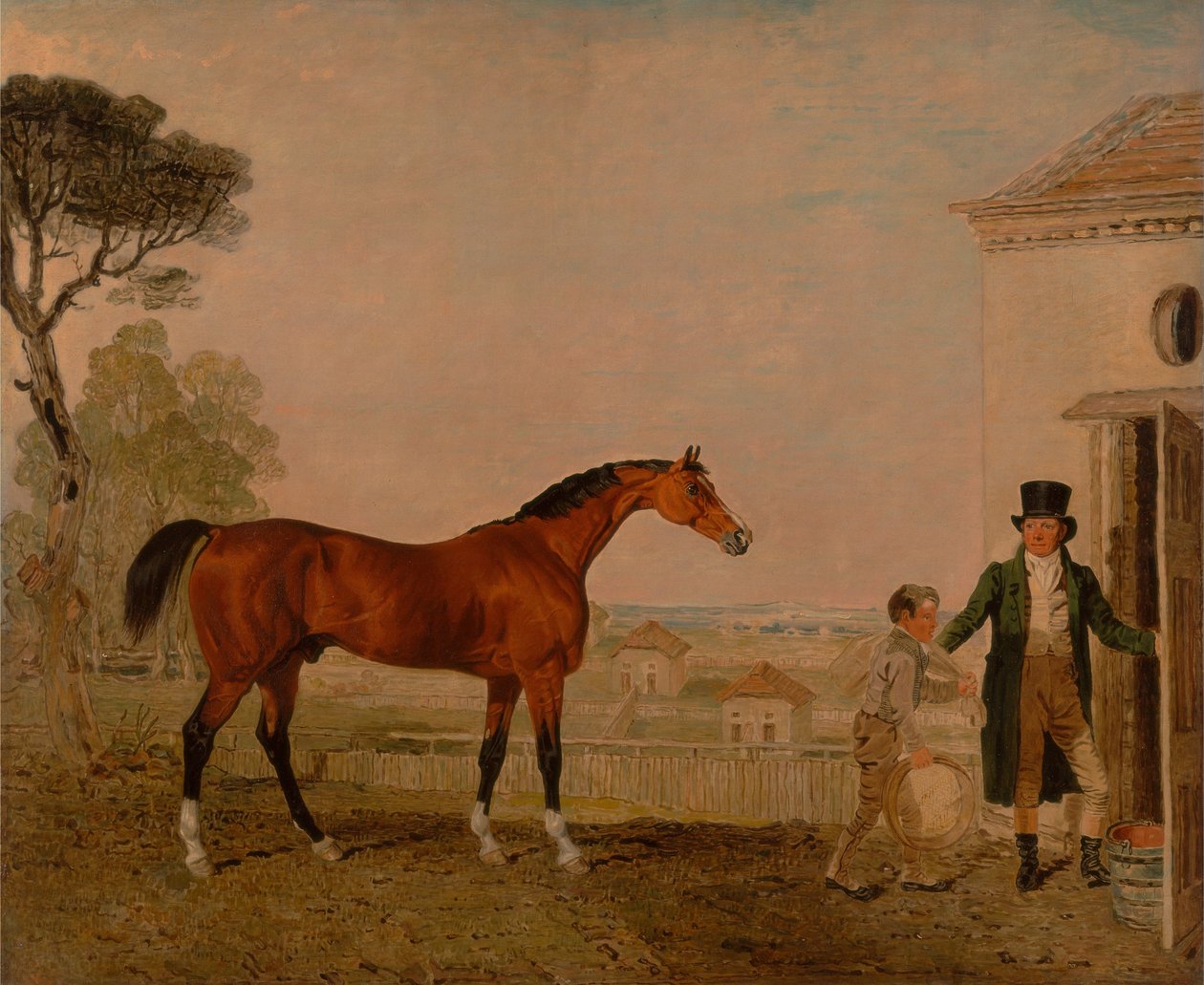 Sultan z Marquess of Exeter Study, Burghley House od Lambert Marshall