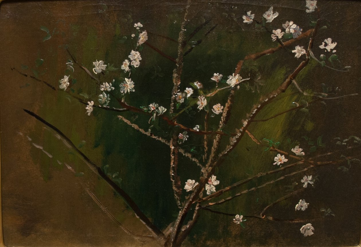 Blossoming Magyar: Viragzas od Laszlo Mednyanszky