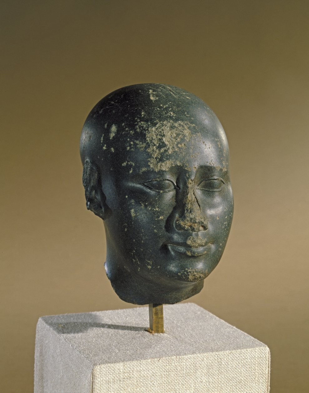 Hlava muže s vejčitou lebkou (čedič) od Late Period Egyptian