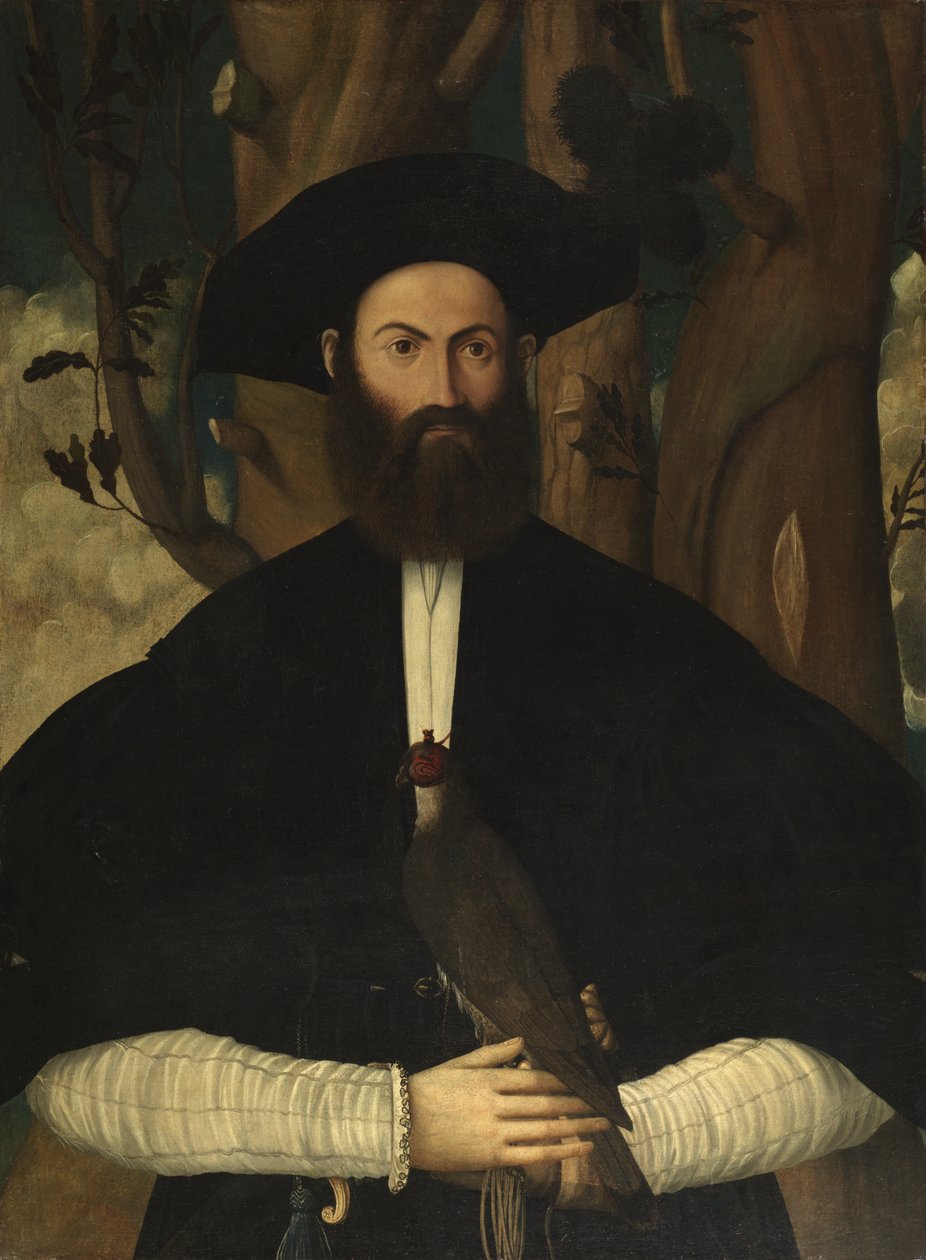Bearded Man with a Falcon, cca 1500 od Lazzaro Bastiani