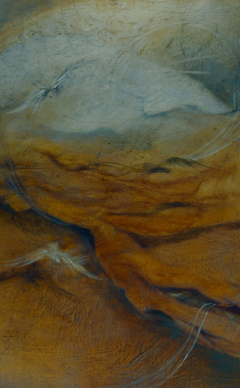 Substrát, 1996 od Lee Campbell
