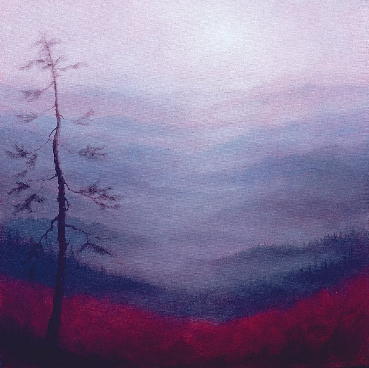Alpská růžová, 2007 od Lee Campbell