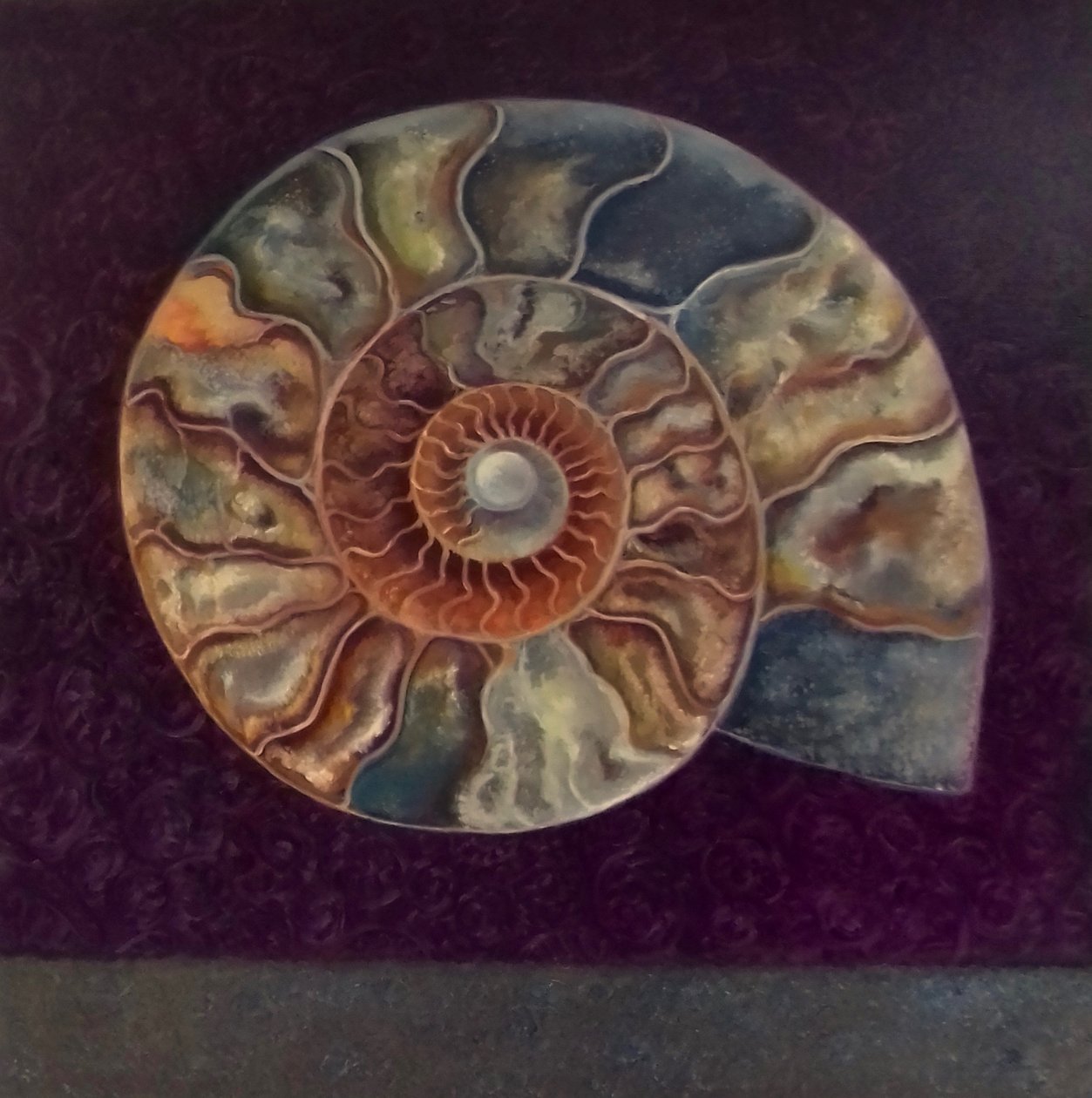 Ammonite, purpurová, 2021 od Lee Campbell