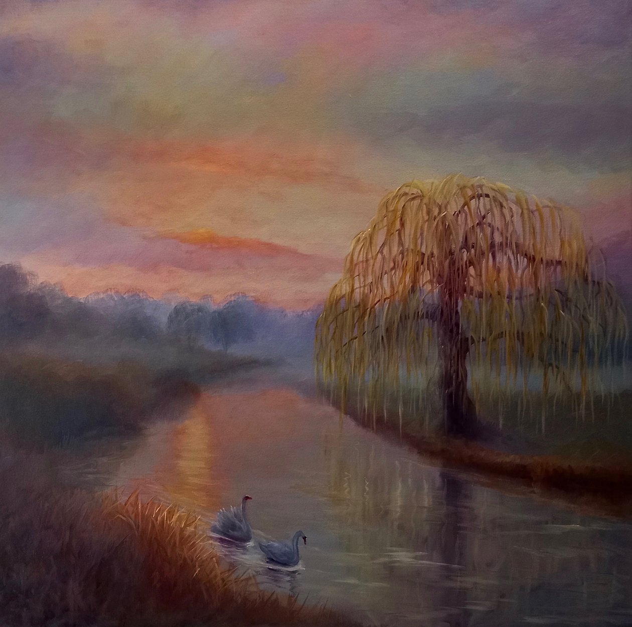 Misty Dawn, Bushy Park, 2024 od Lee Campbell