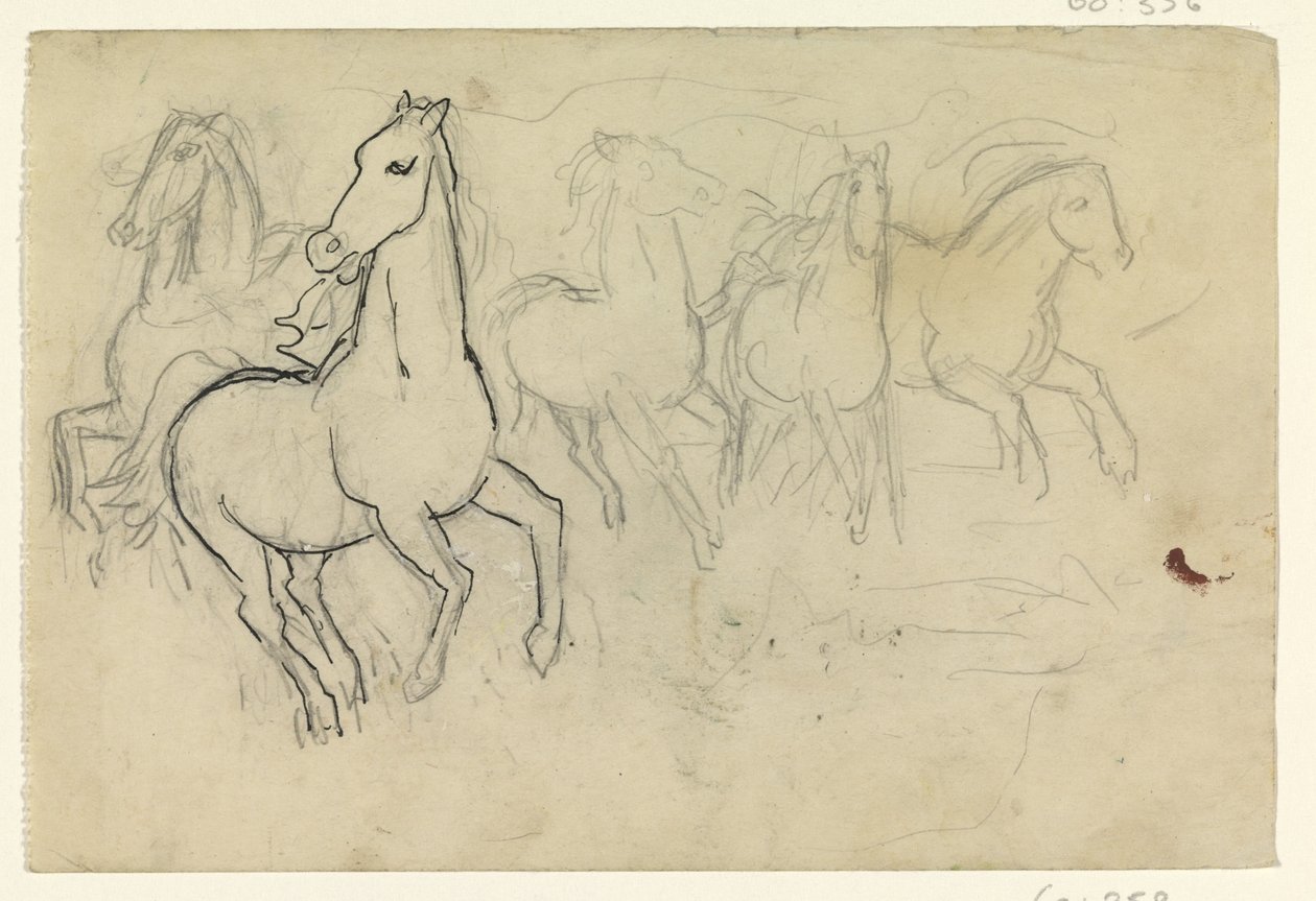 Cválající koně od Leo Gestel