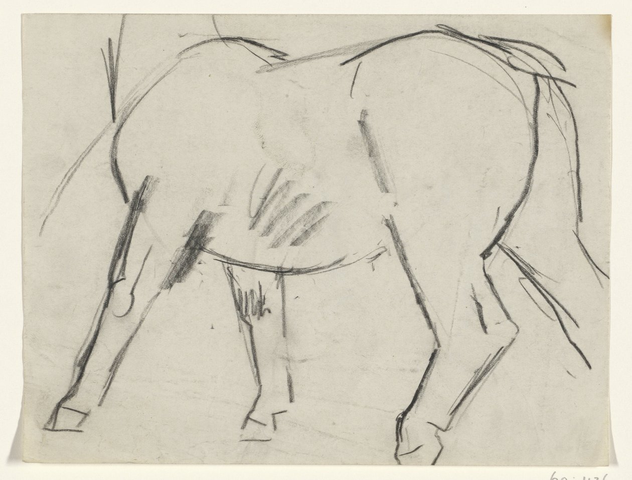 Tělo koně od Leo Gestel