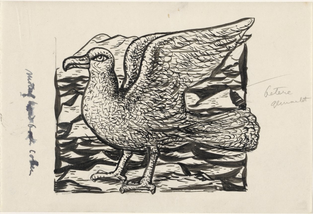 racek od Leo Gestel