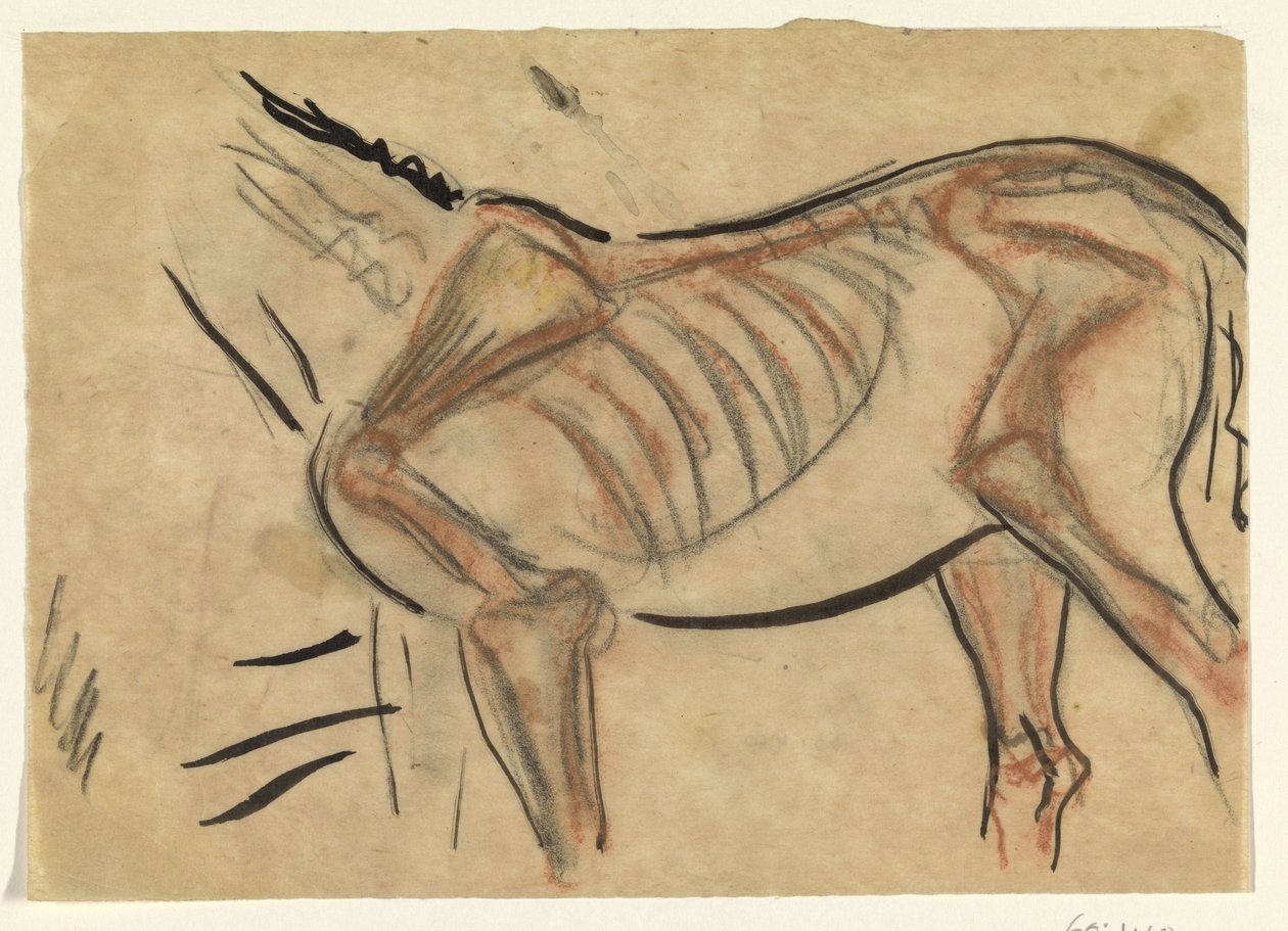 Kostra koně od Leo Gestel