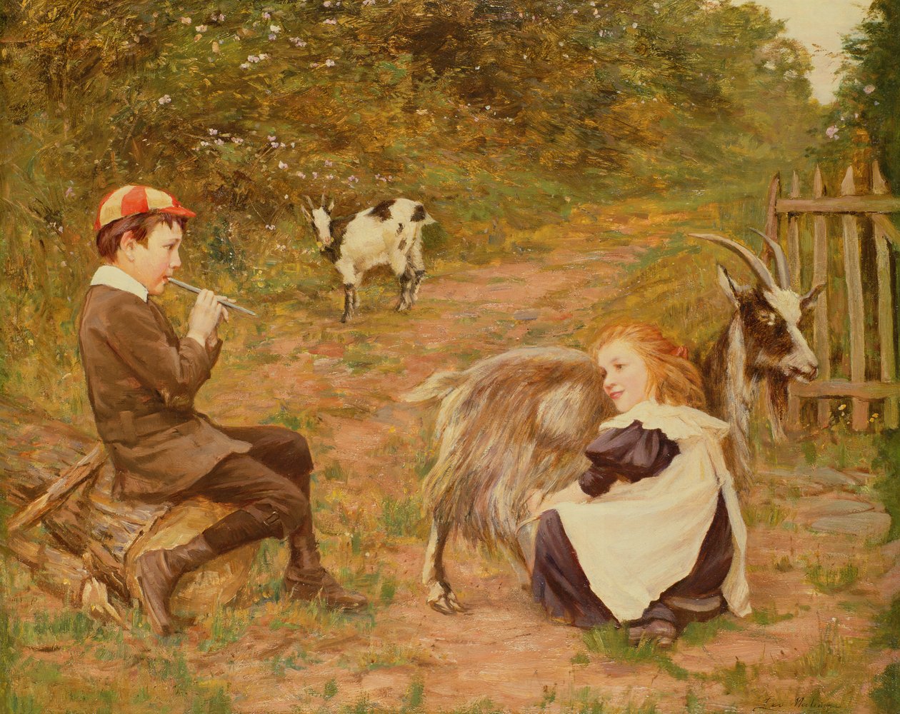 Dojení kozy od Leo Malempre