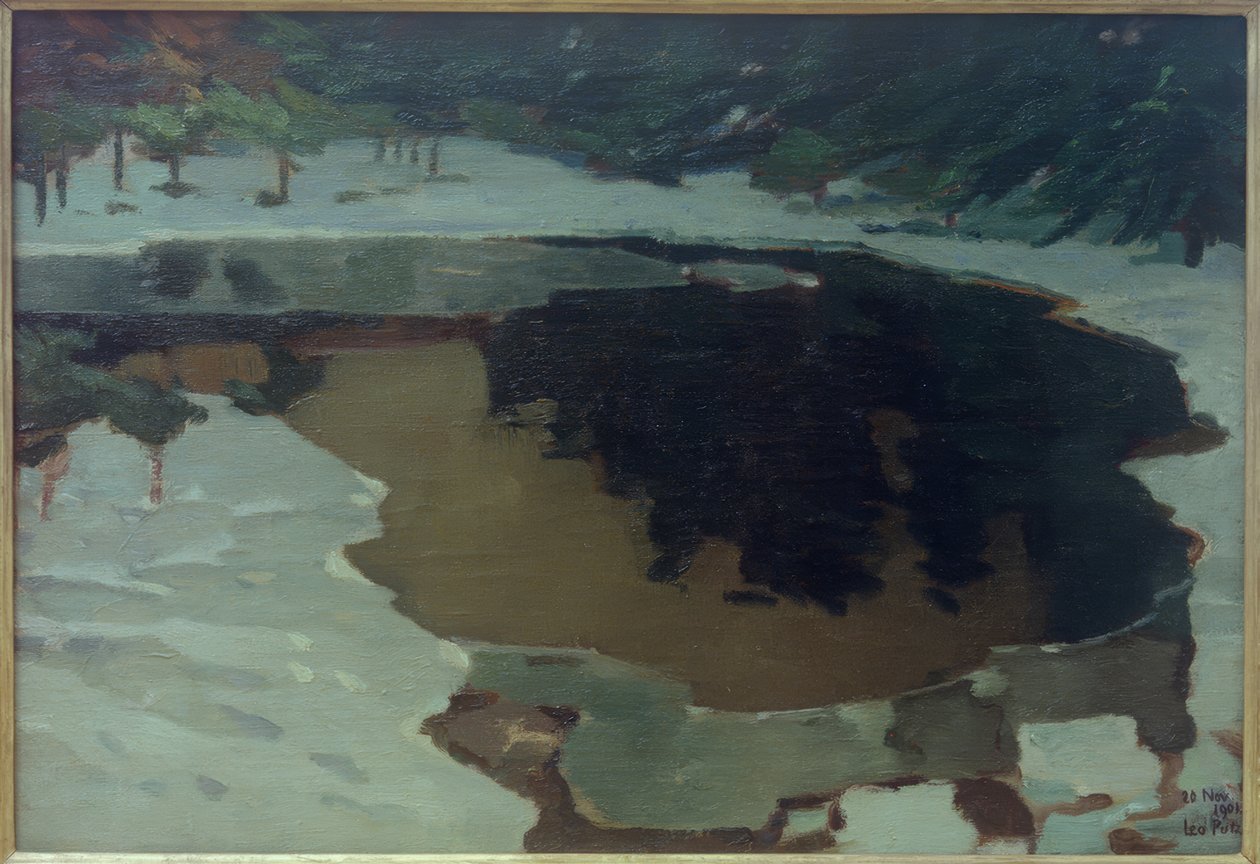 Moorské jezero v zimě od Leo Putz