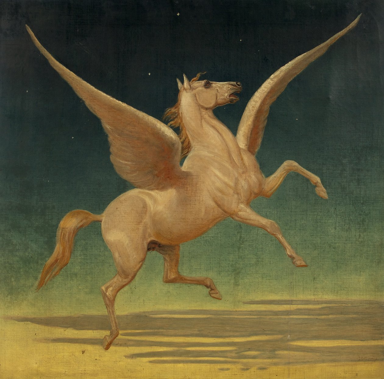 Pegasus (olej na plátně) od Leonard Cattermole
