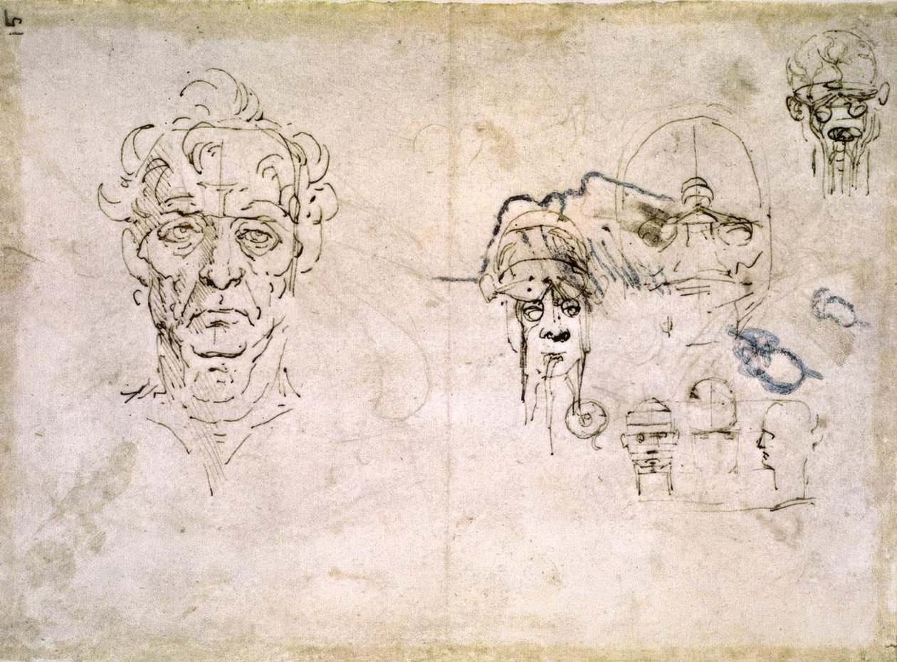 Anatomiestudien od Leonardo da Vinci