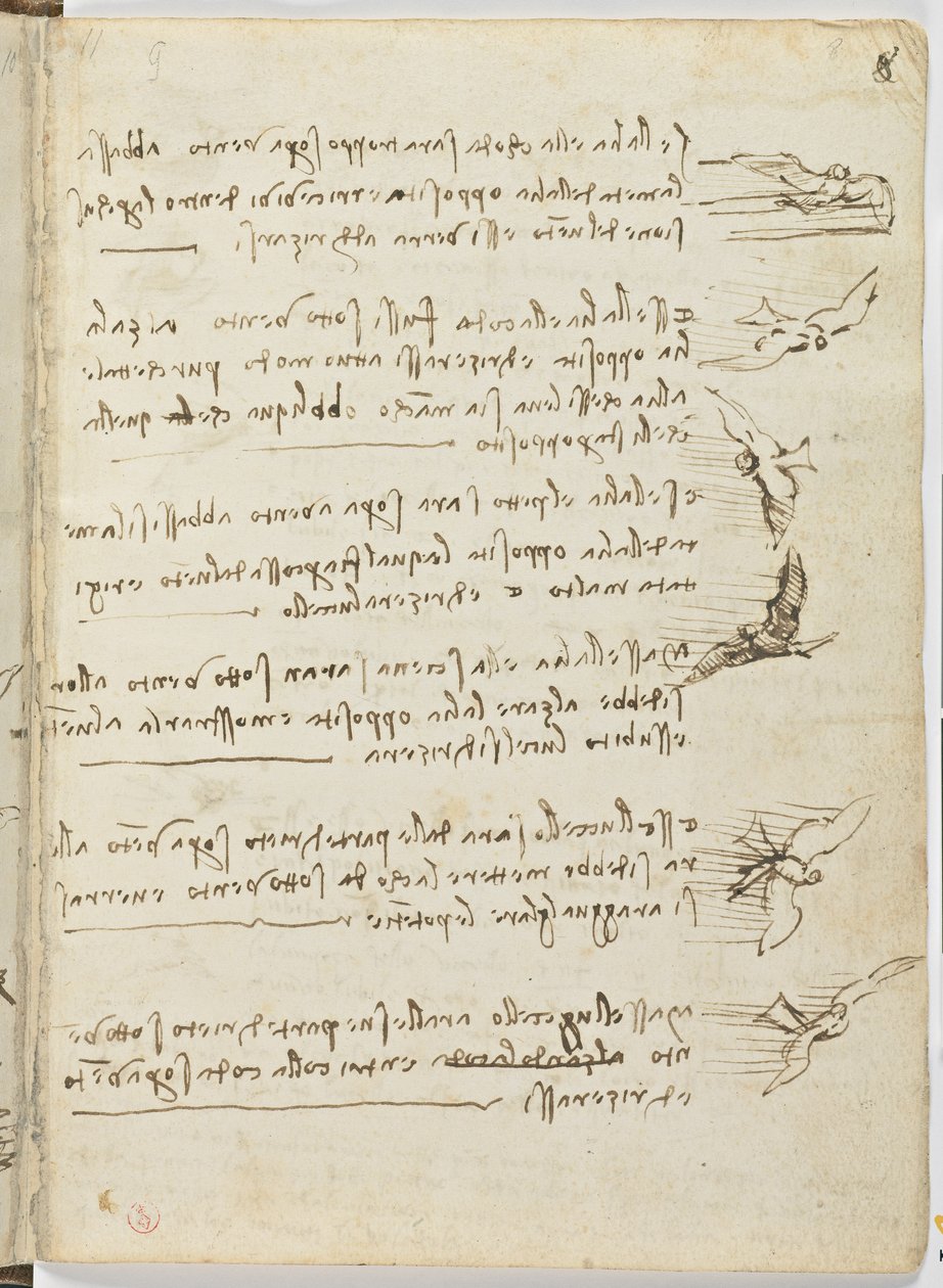 Letový kód ptáků, c. 1505-06, papírový rukopis, cc. 18, list 8 recto od Leonardo da Vinci