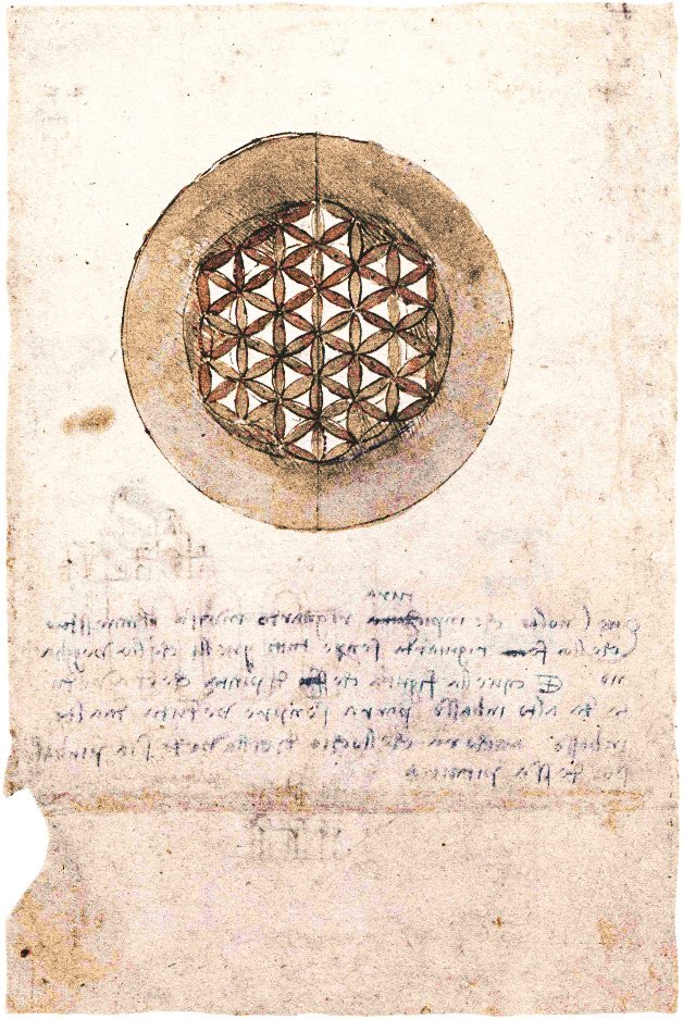 Codex Atlanticus folio 309v od Leonardo da Vinci