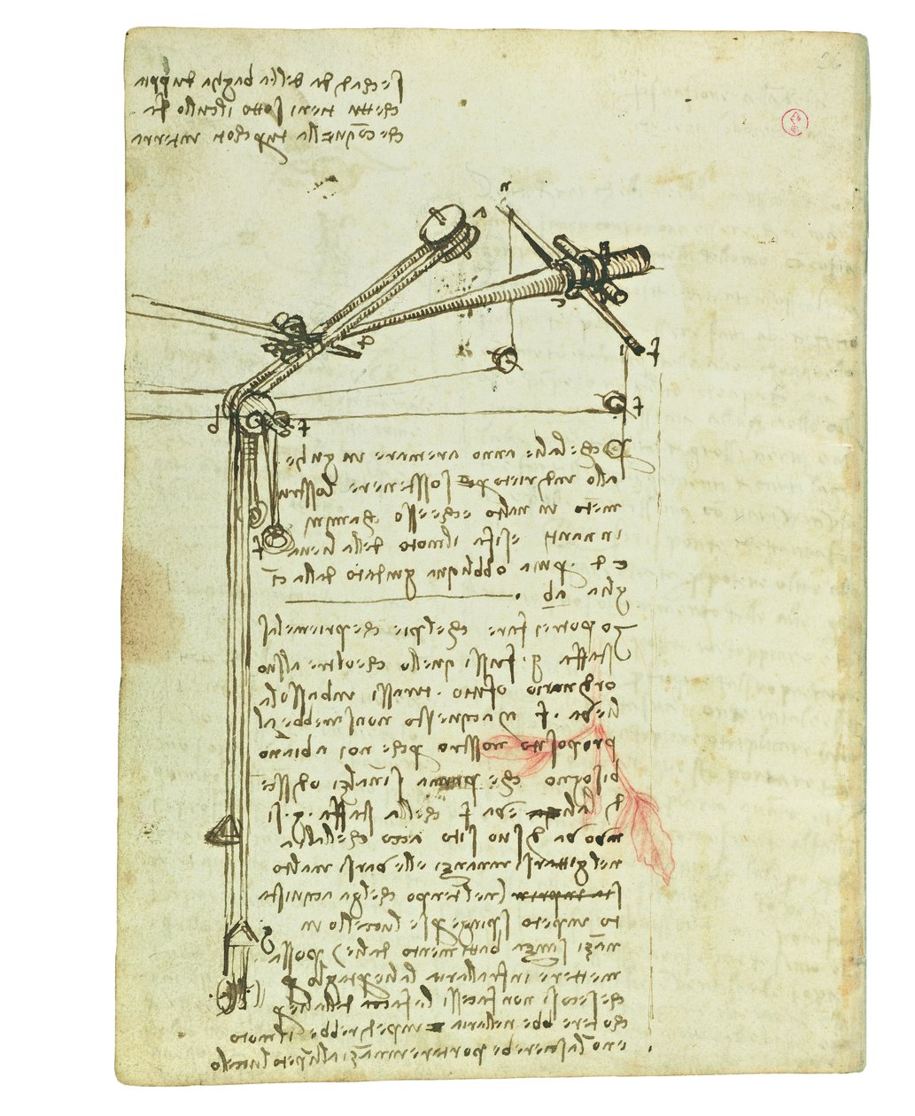 Kodex o letu ptáků, Folio 16 verso od Leonardo da Vinci