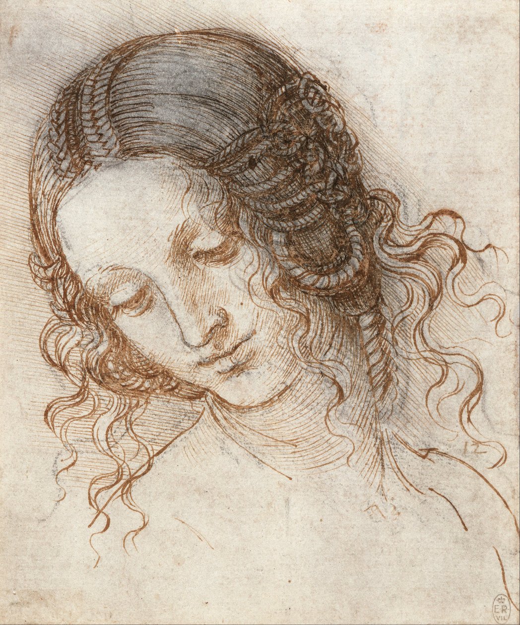 Hlava Ledy od Leonardo da Vinci